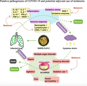 Life Sci. 2020 Jun 1; 250: 117583.
Published online 2020 Mar 23. doi: 10.1016/j.lfs.2020.117583<div style='margin:4px 80px 0px 0px; width:280px; overflow-x:hidden;'><a href='https://www.ncbi.nlm.nih.gov/pmc/articles/PMC7102583/?fbclid=IwAR2nTvbp803JM-xYZ9enjclvOb0nrRcTZxpy5rRl6_jTeHtRnnYiXVupFAY'>https://www.ncbi.nlm.nih.gov/pmc/articles/PMC7102583/?fbclid=IwAR2nTvbp803JM-xYZ9enjclvOb0nrRcTZxpy5rRl6_jTeHtRnnYiXVupFAY</a>