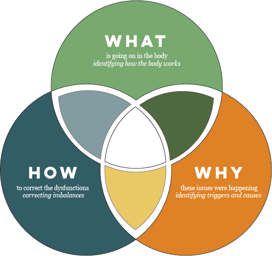 The Rise of Functional Medicine: New Paradigm Gets to the Root Cause of ...